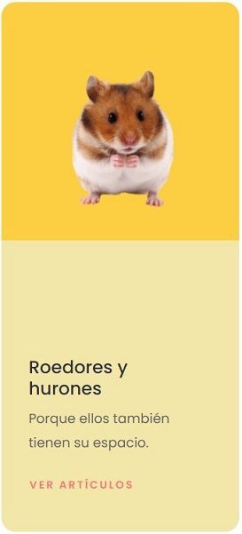 tienda online roedores y hurones