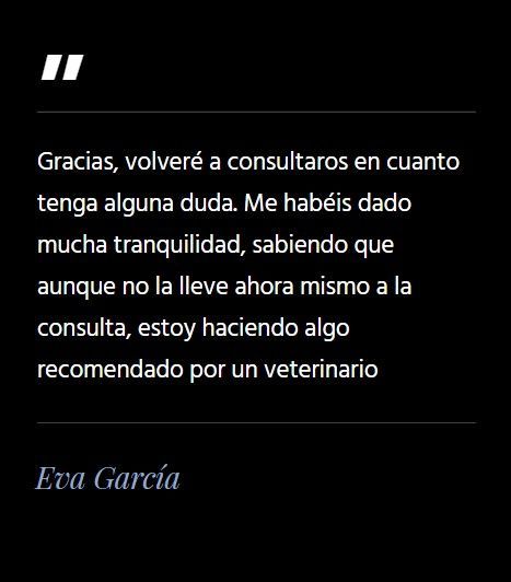 consulta veterinaria online veterwik